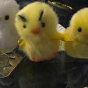 ヒメ日記 2025/06/24 03:07 投稿 めぐ kazusa素人学園　木更津店