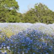 ヒメ日記 2026/05/12 15:11 投稿 めぐ HEAVEN Hand