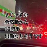 ヒメ日記 2025/08/26 18:57 投稿 あざみ 恋のうた