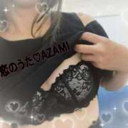 ヒメ日記 2025/09/08 11:07 投稿 あざみ 恋のうた