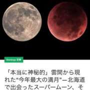 ヒメ日記 2025/11/07 17:25 投稿 あざみ 恋のうた