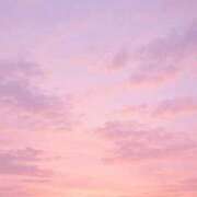 ヒメ日記 2025/11/30 12:27 投稿 井岡 すみれ Canx2京都店