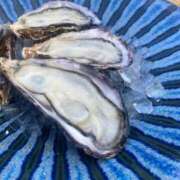 ヒメ日記 2026/02/01 19:08 投稿 大沢るな 東京不倫～とうきょうふりん～