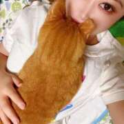 ヒメ日記 2025/10/07 19:04 投稿 はるか チューリップ福井本館