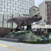 ヒメ日記 2025/06/22 15:04 投稿 はるか チューリップ福井別館