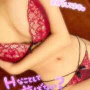 ヒメ日記 2025/10/10 09:04 投稿 はるか チューリップ福井別館