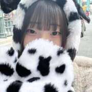 ヒメ日記 2025/11/16 12:24 投稿 すい チューリップ福井別館