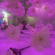 ヒメ日記 2025/06/17 15:13 投稿 ふぶき 突如現れたエロ女神 L＆Jブラザーズ