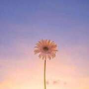 ヒメ日記 2025/06/15 18:13 投稿 光宗れん 札幌ソフィア