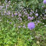 ヒメ日記 2025/06/22 14:18 投稿 光宗れん 札幌ソフィア