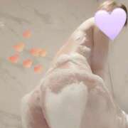 ヒメ日記 2025/08/20 09:04 投稿 べる 男爵