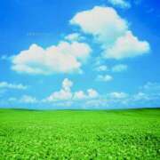 ヒメ日記 2026/02/18 05:04 投稿 ゆりこ 仙台熟女