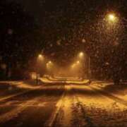 ヒメ日記 2026/02/02 22:48 投稿 新人こはる 仙台熟女