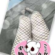 ヒメ日記 2025/08/18 18:41 投稿 かずは★ 小柄淫らな濃厚プレイ BUNNY PLAS