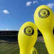 ヒメ日記 2025/07/21 06:54 投稿 もえ なでしこ(十三)