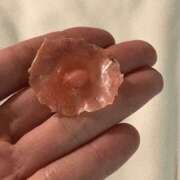 ヒメ日記 2025/11/06 18:55 投稿 セナ 奥様クラブ