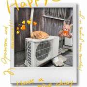 ヒメ日記 2025/07/20 18:25 投稿 ひより MORE