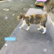 ヒメ日記 2025/08/23 17:55 投稿 ひより MORE