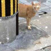 ヒメ日記 2025/09/19 16:45 投稿 ひより MORE