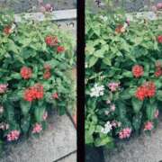 ヒメ日記 2025/09/20 16:35 投稿 ひより MORE