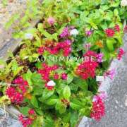 ヒメ日記 2025/09/23 16:35 投稿 ひより MORE