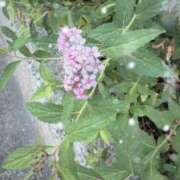 ヒメ日記 2025/10/01 17:05 投稿 ひより MORE