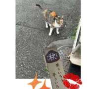 ヒメ日記 2025/10/02 16:45 投稿 ひより MORE