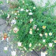 ヒメ日記 2025/10/11 17:35 投稿 ひより MORE