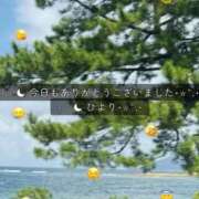 ヒメ日記 2025/10/12 17:45 投稿 ひより MORE
