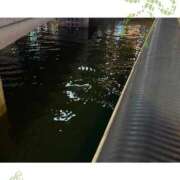 ヒメ日記 2025/10/15 19:35 投稿 ひより MORE