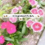 ヒメ日記 2025/10/22 18:55 投稿 ひより MORE