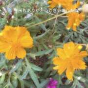 ヒメ日記 2025/11/02 18:15 投稿 ひより MORE