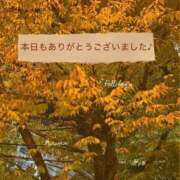 ヒメ日記 2025/11/06 20:55 投稿 ひより MORE