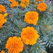 ヒメ日記 2025/11/10 21:15 投稿 ひより MORE