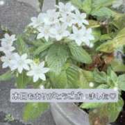 ヒメ日記 2025/11/17 21:55 投稿 ひより MORE