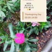 ヒメ日記 2025/11/27 22:15 投稿 ひより MORE