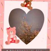 ヒメ日記 2025/12/04 20:25 投稿 ひより MORE