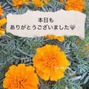 ヒメ日記 2025/12/20 19:05 投稿 ひより MORE