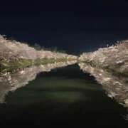 ヒメ日記 2026/04/06 19:45 投稿 天真爛漫らん OL精薬