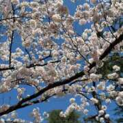 ヒメ日記 2026/04/07 19:15 投稿 天真爛漫らん OL精薬