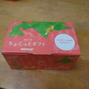 ヒメ日記 2026/03/10 04:34 投稿 一ノ瀬（いちのせ） 丸妻 錦糸町店