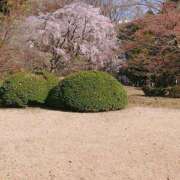 一ノ瀬（いちのせ） 口開けから 丸妻 錦糸町店