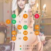 ヒメ日記 2025/11/24 12:18 投稿 さな☆ 粋美　suibi