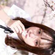 ヒメ日記 2026/03/24 15:20 投稿 さな☆ 粋美　suibi