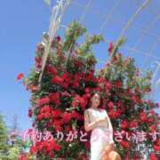 ヒメ日記 2025/09/02 12:19 投稿 明里 ほたる ELEGANCE