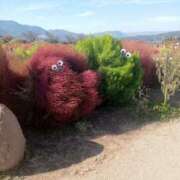 ヒメ日記 2025/11/17 10:35 投稿 まお フローラル