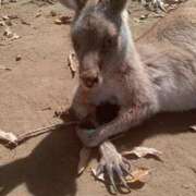 ヒメ日記 2025/11/24 10:00 投稿 まお フローラル