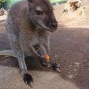 ヒメ日記 2026/02/20 10:16 投稿 まお フローラル