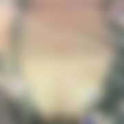 ヒメ日記 2025/09/13 17:50 投稿 れな さくらん