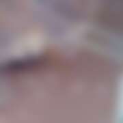 ヒメ日記 2025/10/12 19:41 投稿 れな さくらん